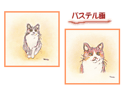 �p�X�e����